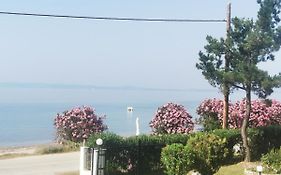 Metamorphosis - Halkidiki Apartment On The Beach