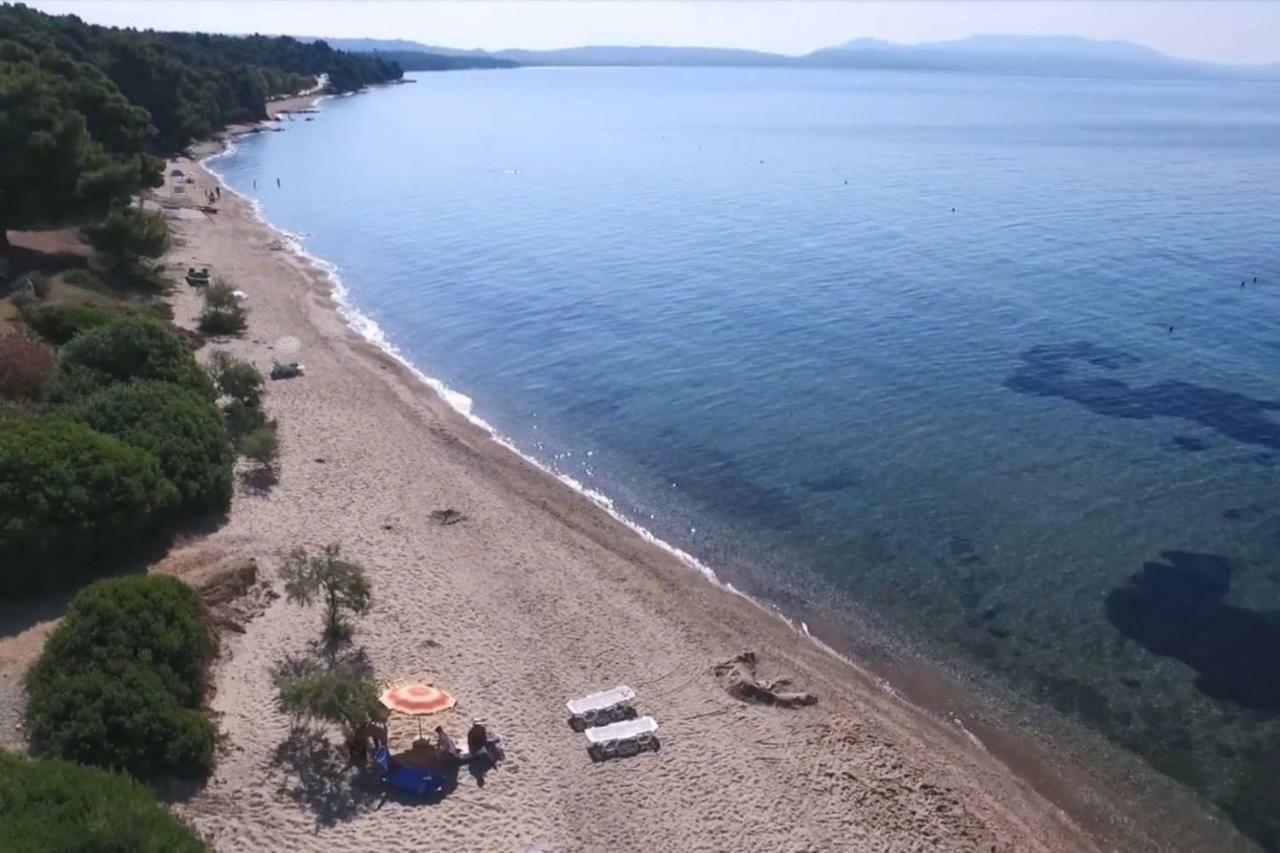 Metamorphosis - Halkidiki Apartment On The Beach Metamórfosi Extérieur photo