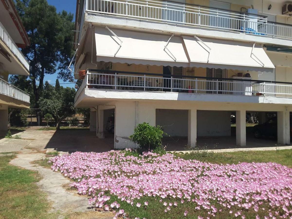 Metamorphosis - Halkidiki Apartment On The Beach Metamórfosi Extérieur photo